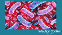Listeria infection  (Adobe Stock 1901964784 by freshidea) 