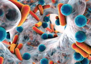 Better Barriers and Standardized Protocols: Improving UGPIV Safety