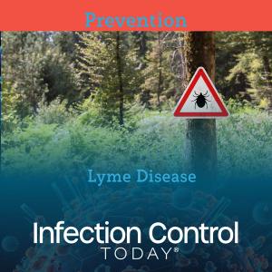 Lyme Disease: Picture of a tick on a sign in the woods  (Adobe Stock 480211882 by 24K-Production)