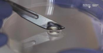 McMaster engineers specializing in infectious diseases have created a bacteria-k