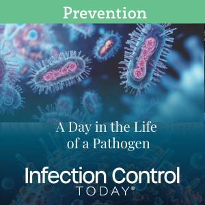 A Day in the Life of a Pathogen  (Adobe Stock 949138216)