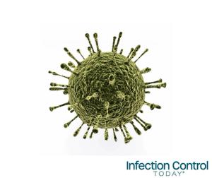 An illustration of the Norovirus. The viruses are transmitted by fecally contaminated food or water, or through person-to-person contact. Noroviruses are the most common cause of viral gastroenteritis. (Adobe Stock 87460981 by auntspray)