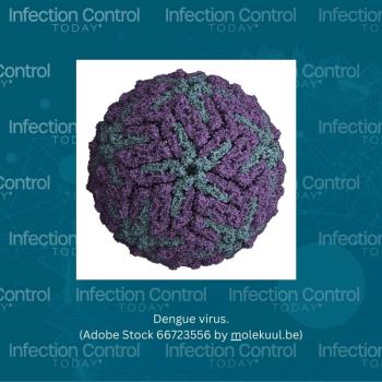 Dengue virus (Adobe Stock 66723556 by molekuul.be)