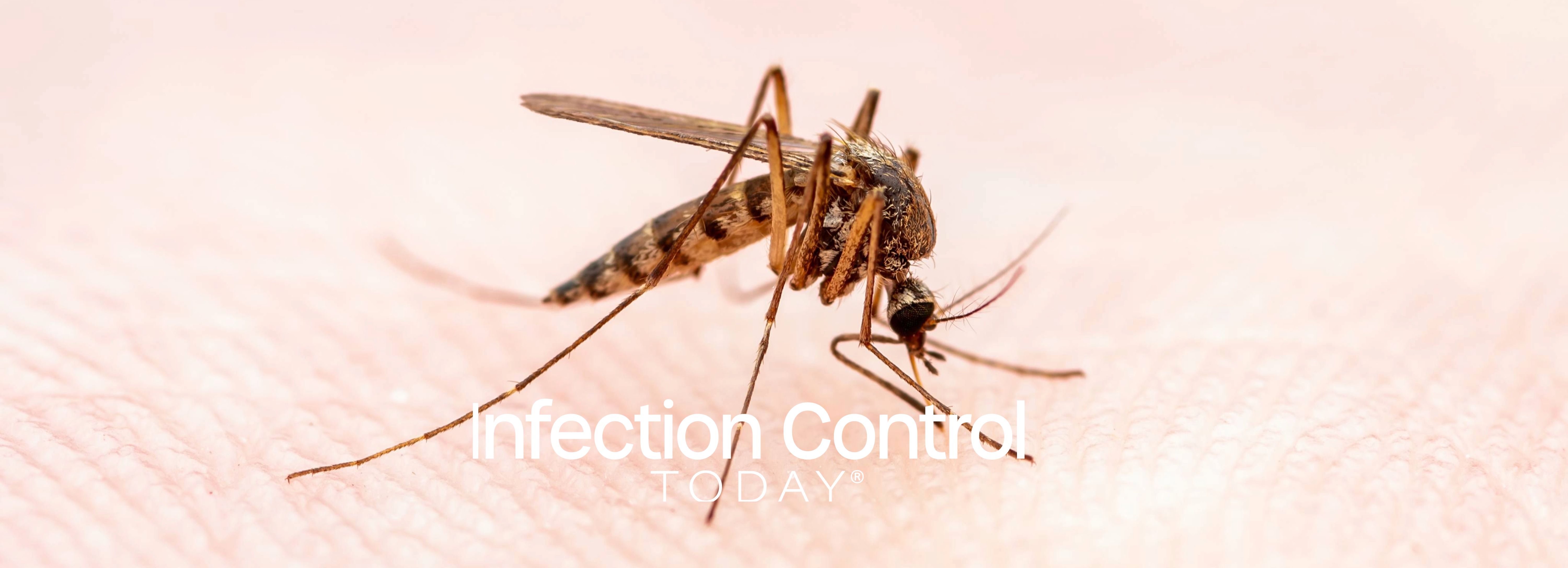 Malaria at a Crossroads: Johns Hopkins Experts Warn of Rising Threats Despite Vaccine Progress