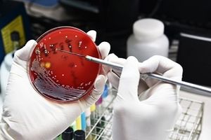 The DISARM Act Proposes New Strategies to Fight The Growing Threat Of Antibiotic Resistance
