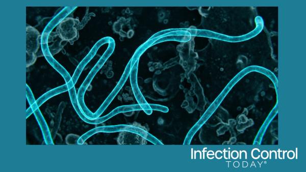 Microscopic view of Ebola virus particles (Adobe Stock 2032931568 by MdLutfor)