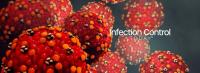 Measles virus or virus (Adobe Stock 222061160 by Design Cells)