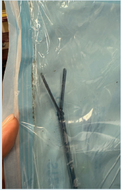 Bioburden in a sterile peel pouch. 
