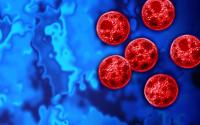 Cyclosporiasis is a health crisis as a foodborne parasitic illness caused by Cyclospora cayetanensis, which is contracted through contaminated food or water, resulting in explosive diarrhea and digestive issues. (Adobe Stock 2097192324 by reshidea)