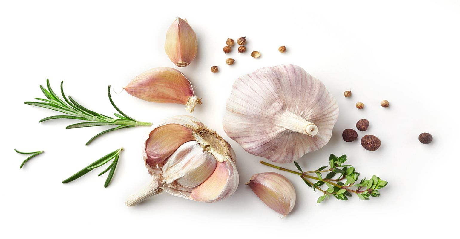 Essential Oils From Garlic and Other Herbs Kill Lyme Disease Bacterium