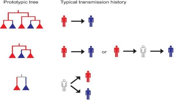 Analyzing Genetic Tree Sheds New Light on Disease Outbreaks | Infection ...