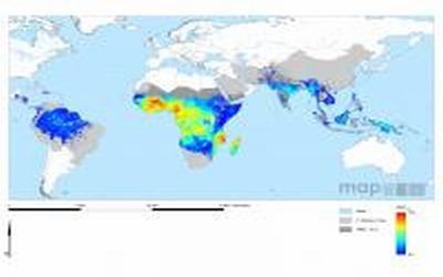New Malaria Maps to Guide Battle Against the Disease
