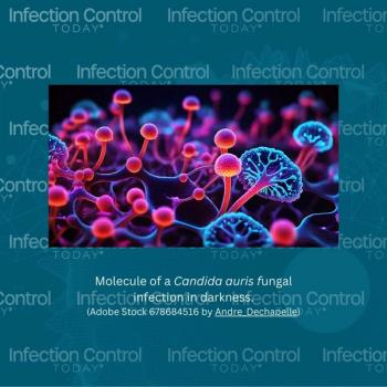 Molecule of candida auris fungal infection in darkness.   (Adobe Stock 678684516 by Andre_Dechapelle)