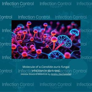 Molecule of candida auris fungal infection in darkness. (Adobe Stock 678684516 by Andre_Dechapelle)