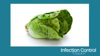 Romaine lettuce (Adobe Stock 11840994 by eyewave)