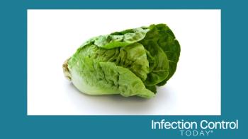 Romaine lettuce (Adobe Stock 11840994 by eyewave)