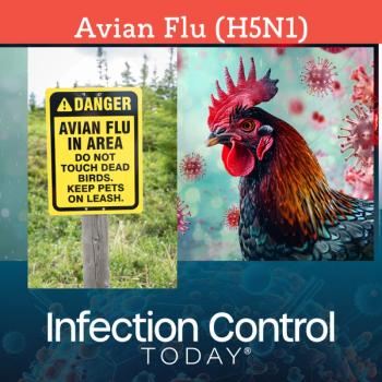 Avian flu  (Adobe Stock unknown)