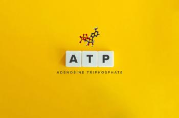 ATP (adenosine triphosphate) molecule  (Adobe Stock 555907042 by Photoopus)