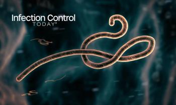 Microscopic view of the Ebola virus  (Adobe Stock 323887739 by Monika Wisniewska)