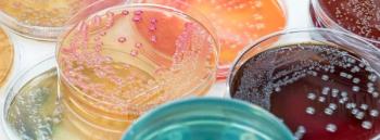 Cultures AdobeStock_123657883 by analysis121980