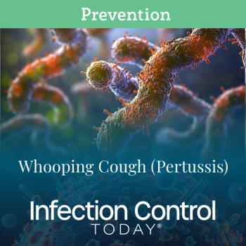 This is a highly detailed and realistic close-up of Bordetella pertussis, which causes whooping cough (pertussis), a highly contagious respiratory disease. (AI)  (Adobe Stock 958655470 by phurinee)