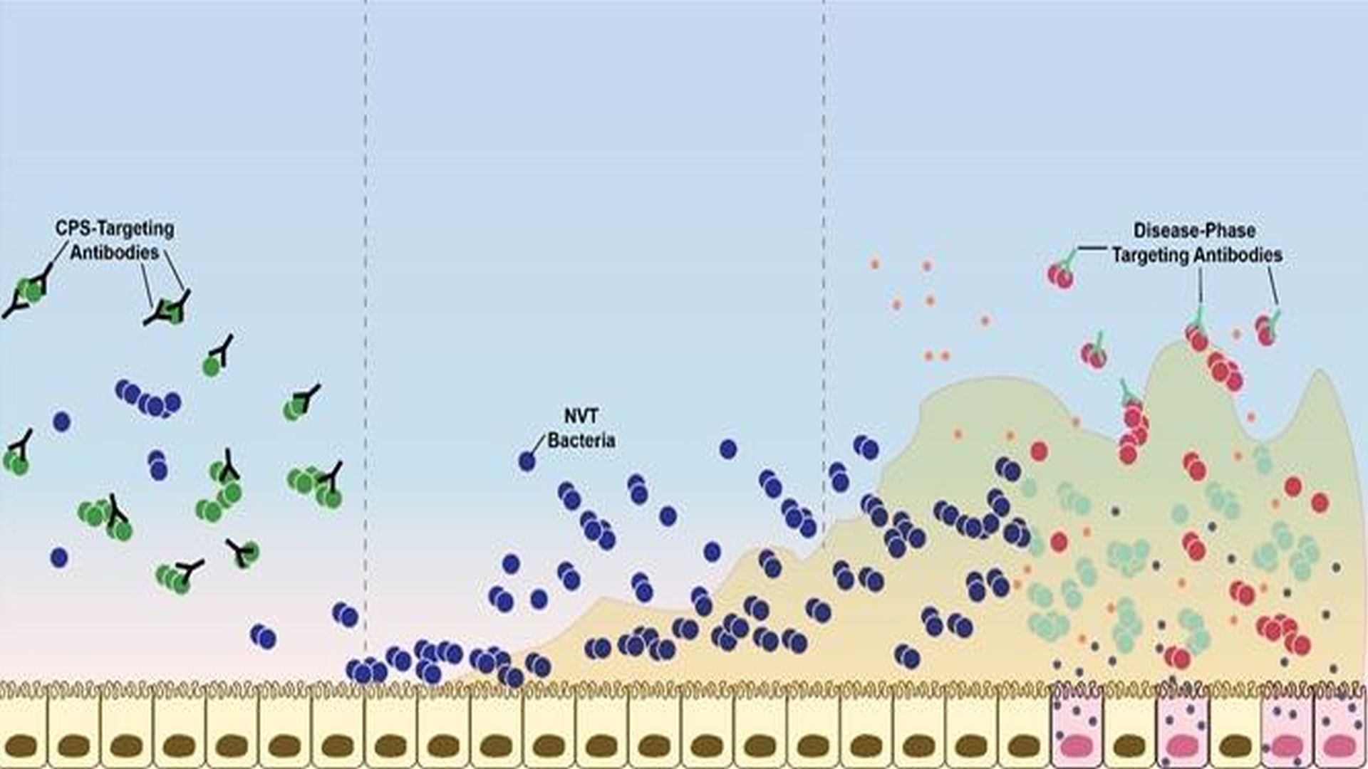 New Vaccine Offers Hope For The End Of Pneumonia   7f5f4c1f9fae9fc908028c4d526a1a15e7f51486 1920x1080 