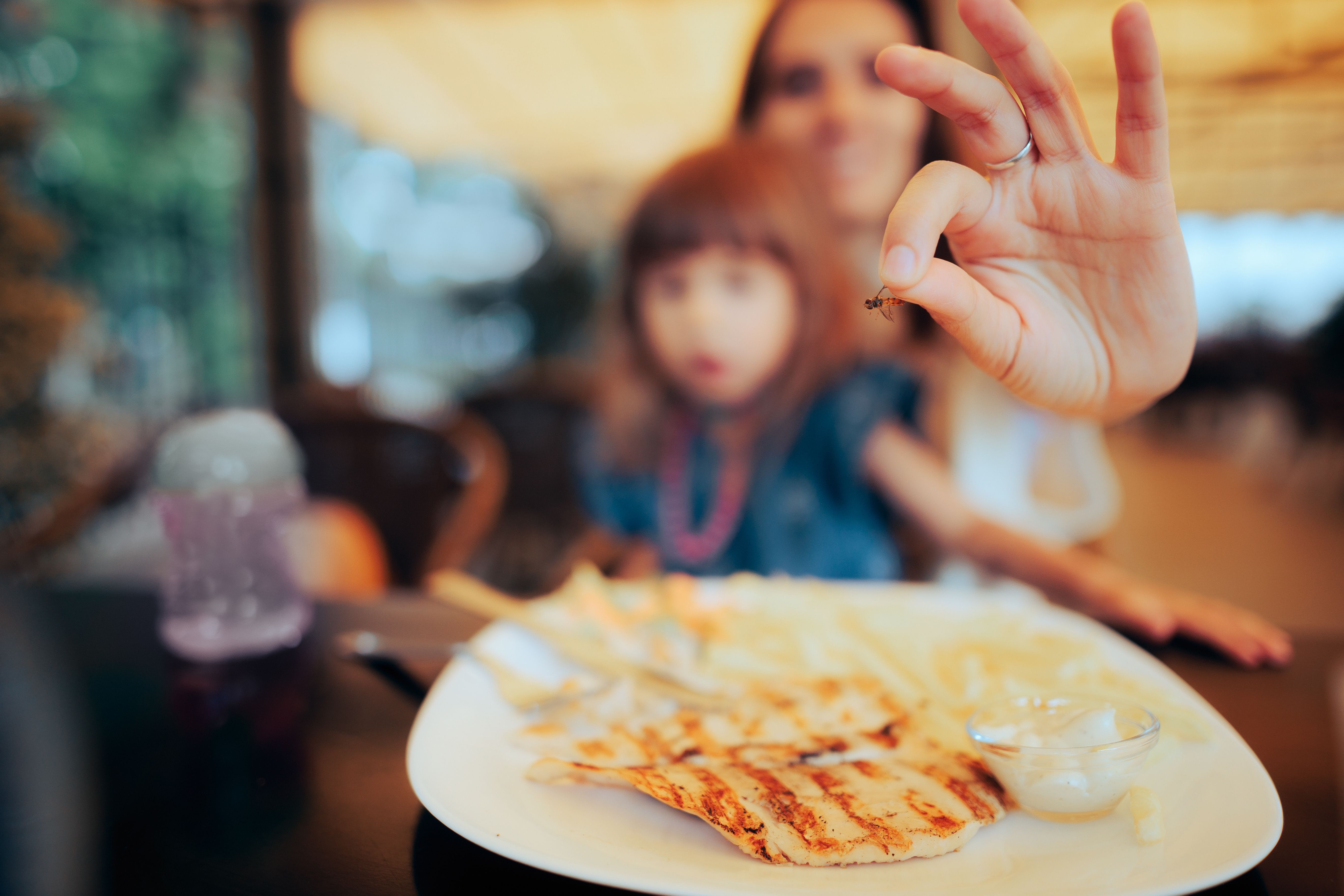 (Adobe Stock)