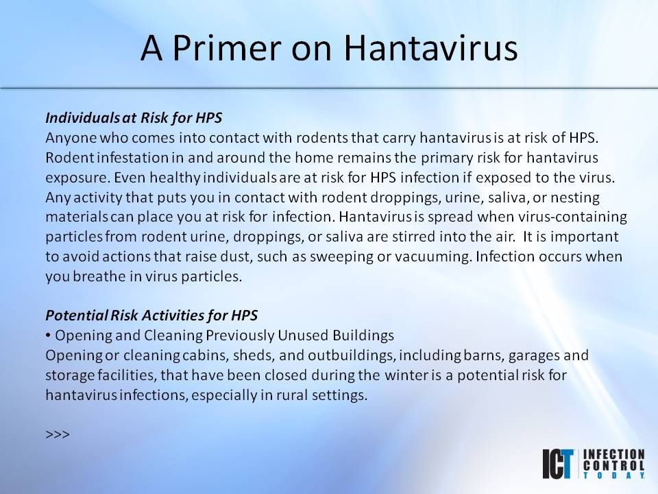 Slide Show: A Primer on Hantavirus