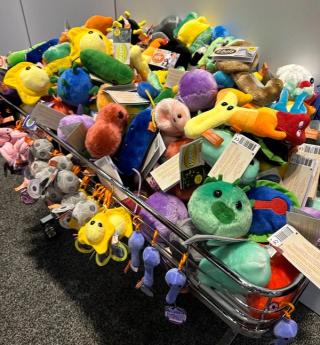 GIANTmicrobes at the 2023 APIC Annual Conference and Exhibition. (Photo by the author)