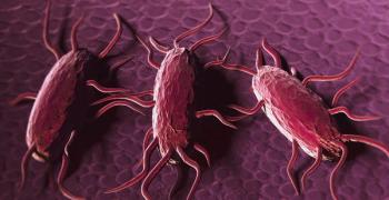 microscopic Listeria monocytogenes pathogen