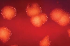 Bug of the Month: Trust Me, I Pose No Threat to You at All