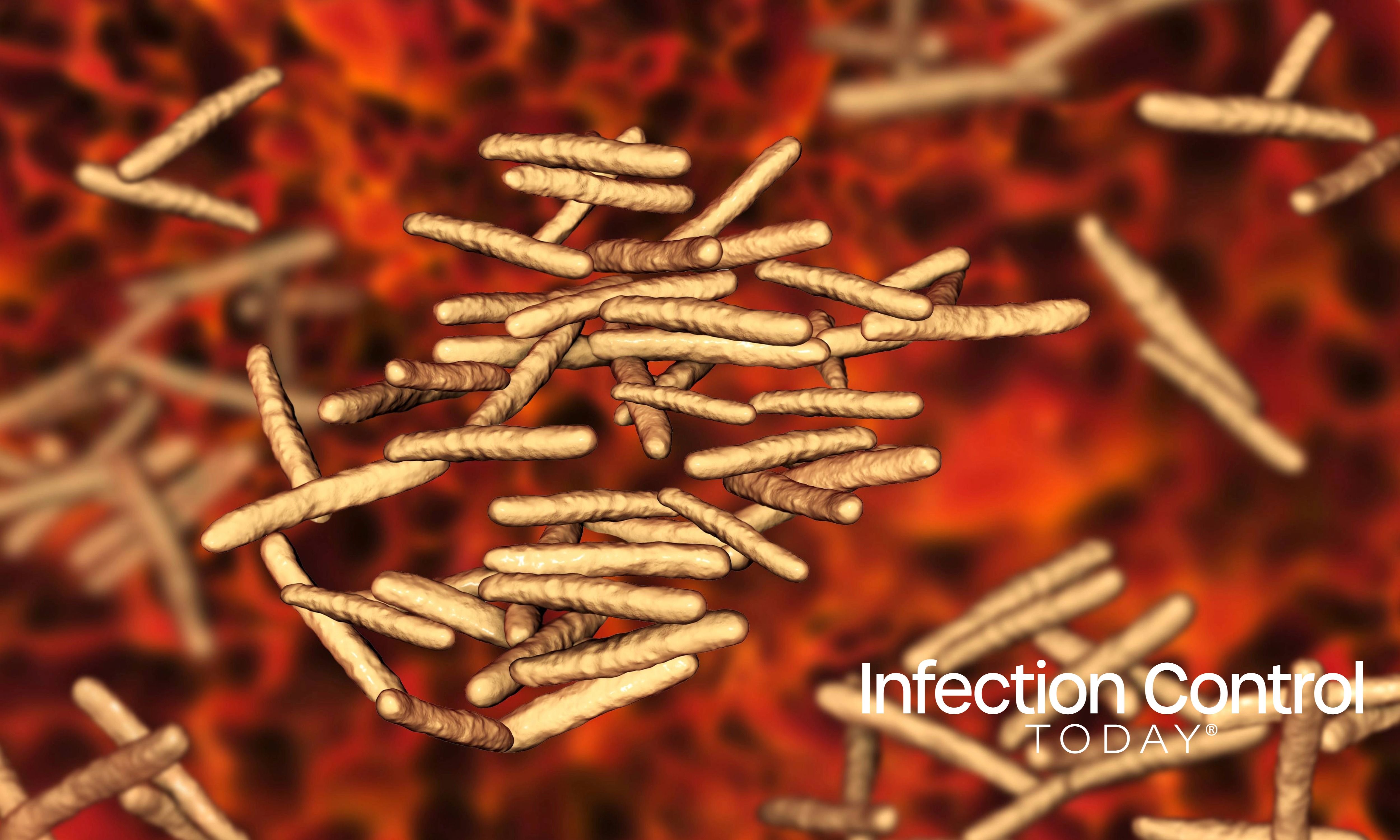 Mycobacterium avium-intracellulare, MAI, non-tuberculous mycrobacteria which cause opportunistic infections in HIV-infected patients, 3D illustration (Adobe Stock 166086779 by Dr_Microbe)