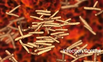Mycobacterium avium-intracellulare, MAI, non-tuberculous mycrobacteria which cause opportunistic infections in HIV-infected patients, 3D illustration (Adobe Stock 166086779 by Dr_Microbe)