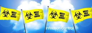 Yellow West Nile Virus flags flying against a blue sky. (Adobe Stock 134944229 by Argus)