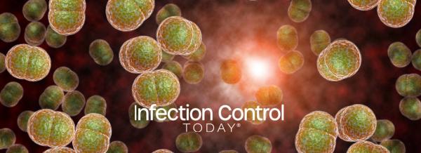Meningitis Bacteria Infection (Adobe Stock by Ezume Images)
