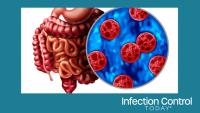 Cyclosporiasis is a foodborne parasitic infection caused by Cyclospora cayetanensis, spread through contaminated food or water, resulting in explosive watery diarrhea and severe symptoms.  (Adobe Stock 2095042414 by freshidea)