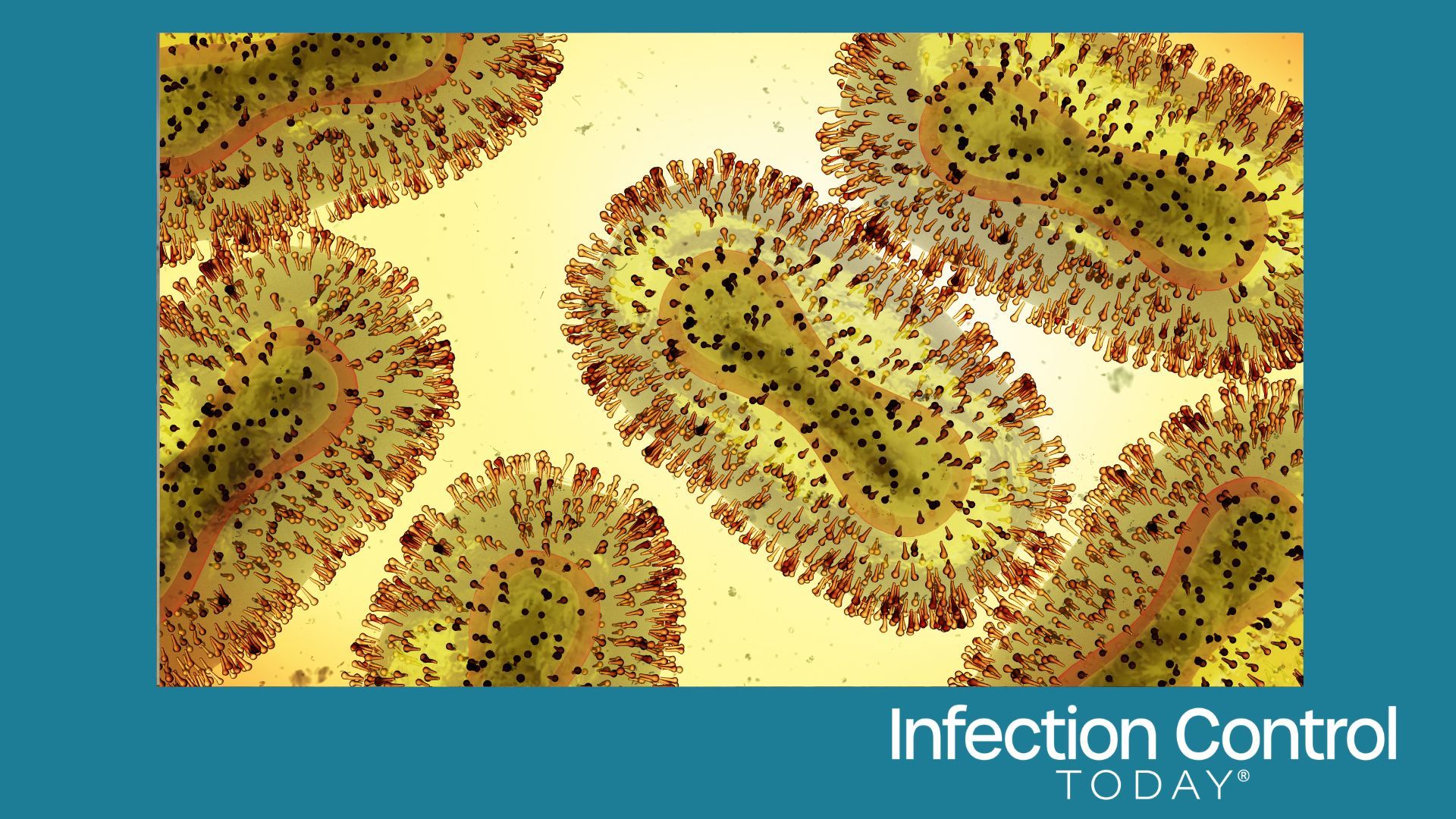 Mpox virus, a contagious pathogen, close-up  (Adobe Stock 506741558 by dottedyeti)