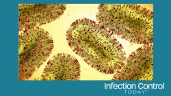 Next-Generation Mpox Vaccine Shows Promise for Durable Protection and Future Outbreak Preparedness