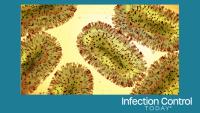 Mpox virus, a contagious pathogen, close-up (Adobe Stock 506741558 by dottedyeti)