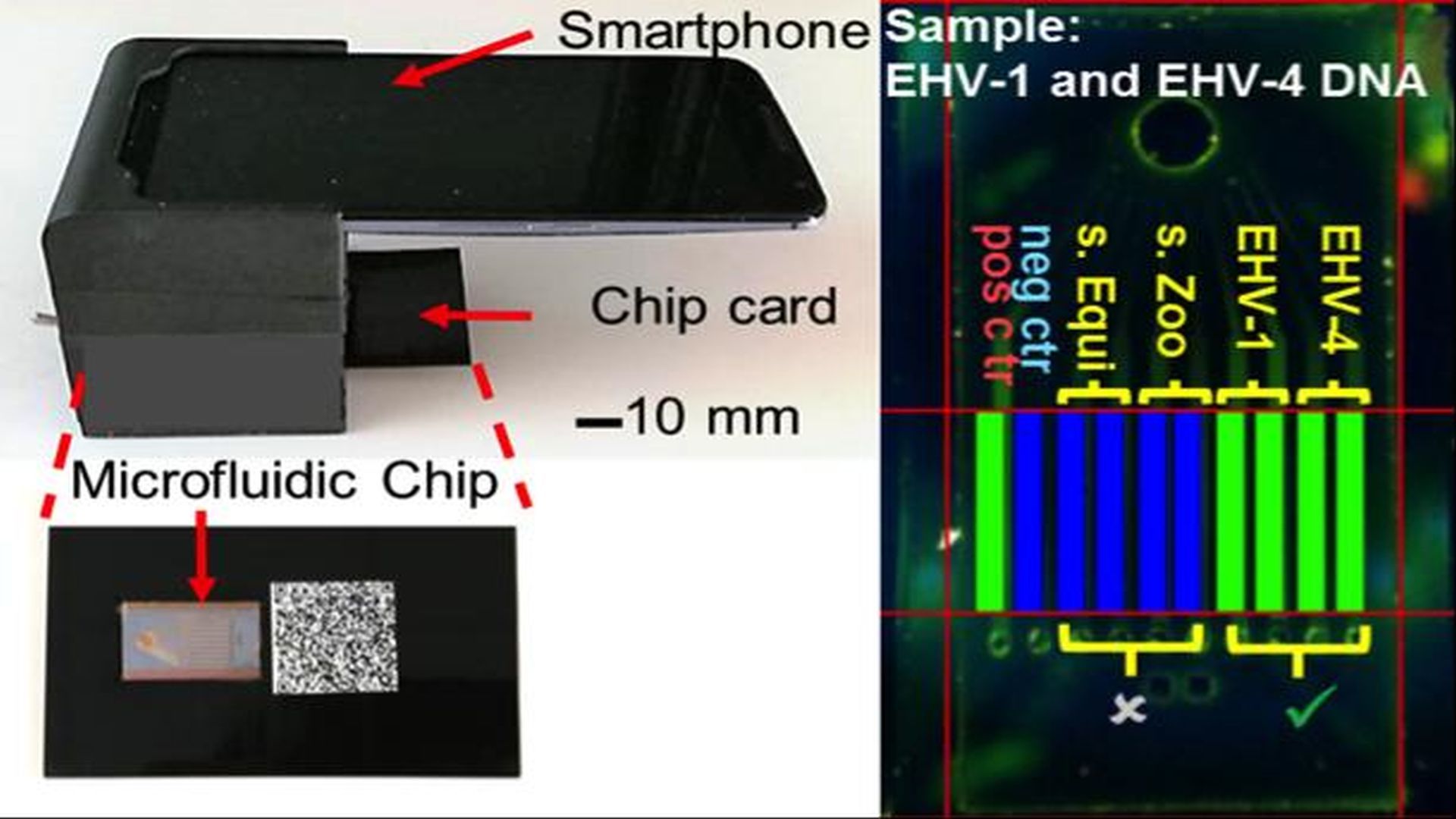 Integrated Lab-on-a-Chip Uses Smartphone to Quickly Detect Multiple ...