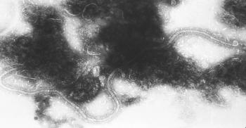 This article was first published on Contagion.com. 