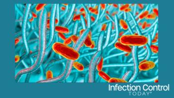 Whooping cough bacteria, Bordetella pertussis in the respiratory tract, 3D illustration showing cilia of respiratory epithelium and bacteria (Adobe Stock 309780846 by Dr_Microbe)