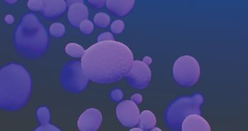 microscopic image of candida auris pathogen