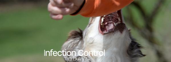 An aggressive dog is trying to bite.   (Adobe Stock 106992073 by Grubärin)