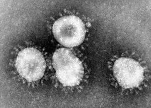 First Human-to-Human Coronavirus Transmission in US Confirmed