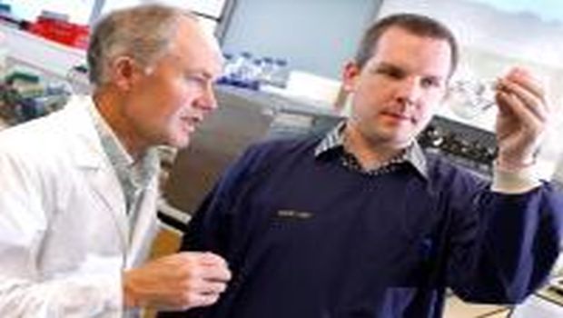 Mycobacteria Metabolism Discovery May Pave Way for New TB Drugs ...