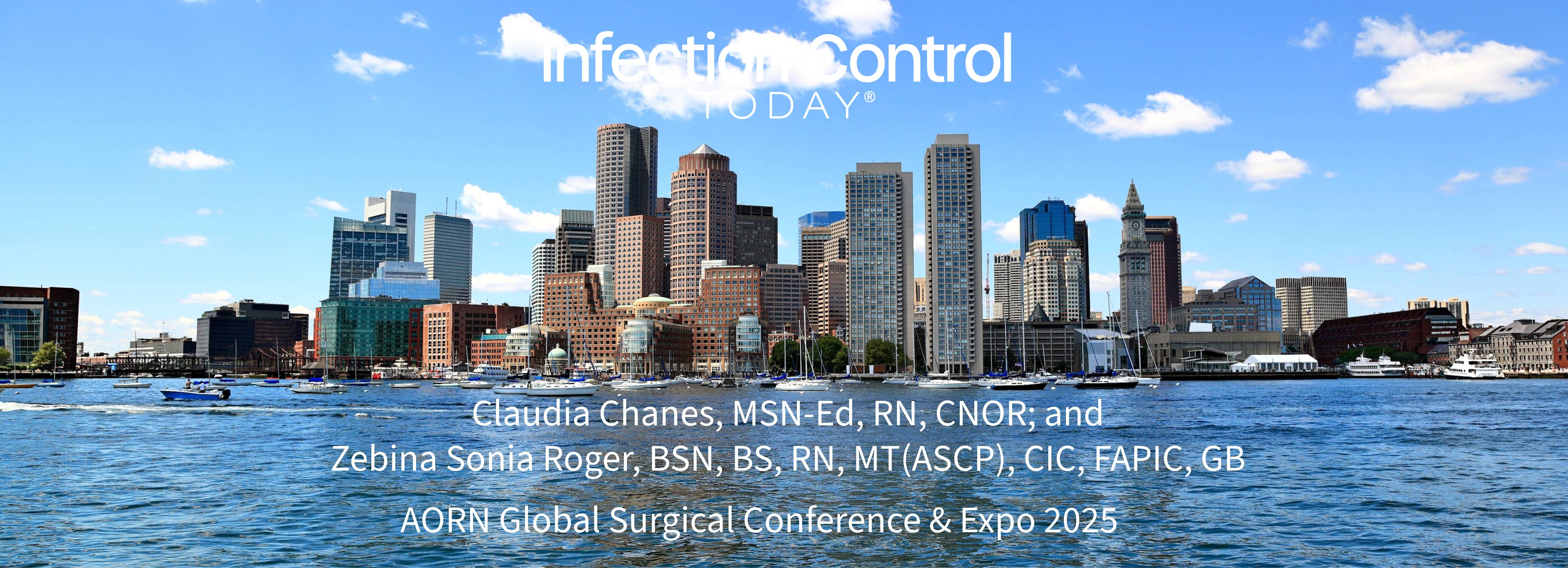 Boston Skyline Panoramic  190514613 by diak