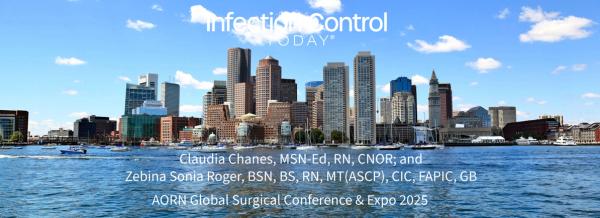 Boston Skyline Panoramic  190514613 by diak