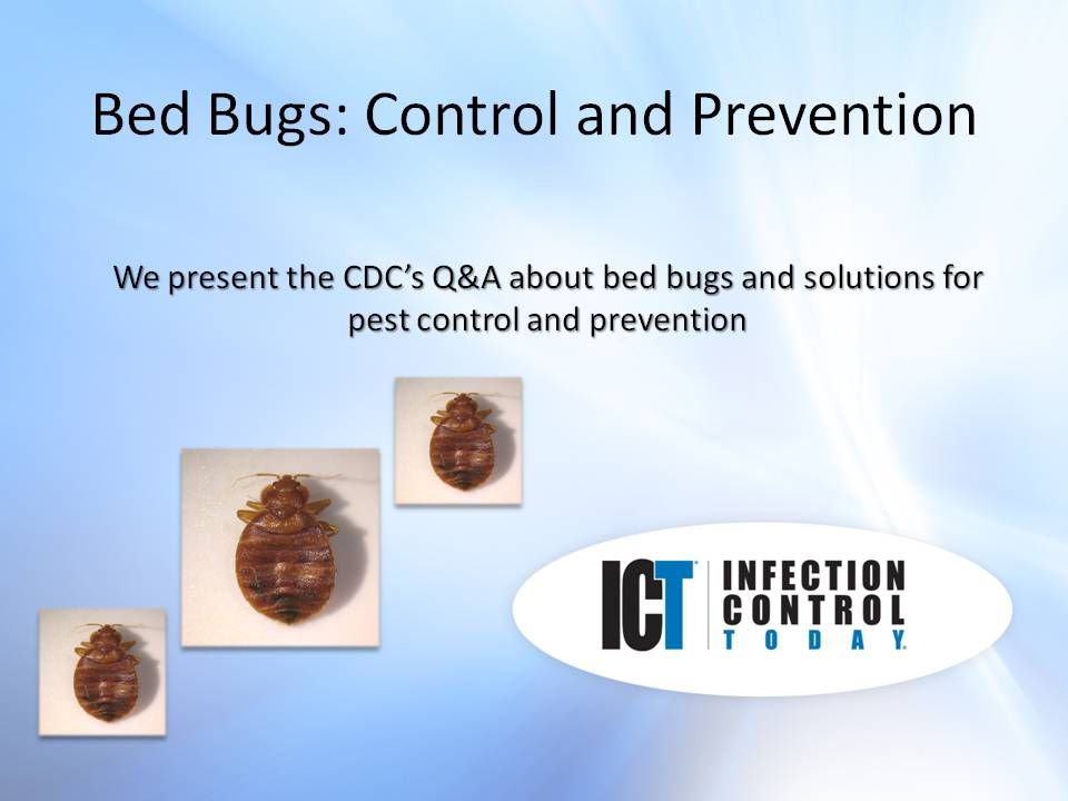 Slide Show Bed Bugs Control And Prevention
