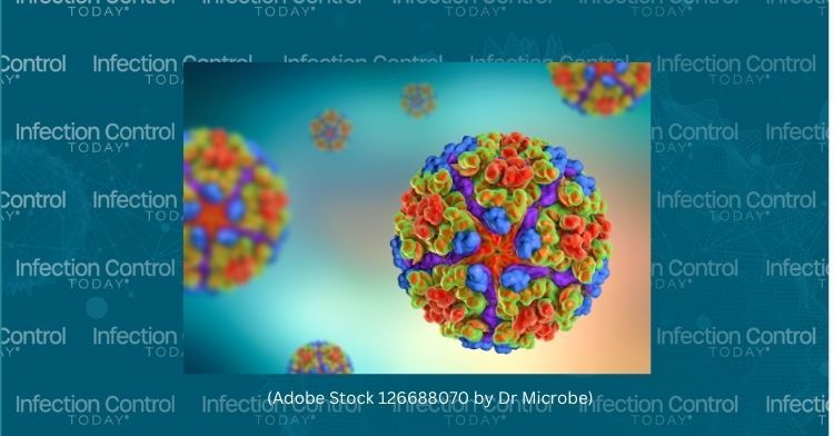 Discussing Chikungunya Current And Future Chikungunya Vaccines